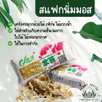 สแฟกนั่มมอส Sphagnum Moss 6L/12L 1 ชิ้น วัสดุปลูกเก็บความชุ่มชื้นให้กับต้นไม้ กล้วยไม้ ไม้ใบ ไม้ฟอก รองกรงสัตว์ CH