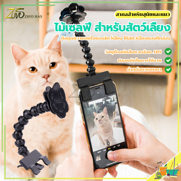 ไม้เซลฟี่-สำหรับสัตว์เลี้ยง-นวัตกรรมสำหรับการถ่ายรูปสัตว์เลี้ยง-ที่จะได้ภาพมุมคิ้วท์ๆ-ของน้องๆ-ด้วยตัวคุณเอง-ของเล่นแมว