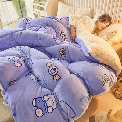 【LZ】 Lamb wool quilt winter household thickened warm coral velvet blanket bed sheet people double dormitory student cover blanket
