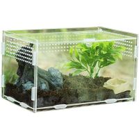 Reptile Breeding Box Acrylic Transparent Spider Lizard Scorpion Entis Acrylic Assembled Insect Breathable Terrarium