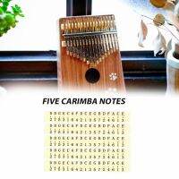 ขายดี5ชิ้นสติกเกอร์สเกลโน้ตดนตรี Kalimba สติกเกอร์เสียงดนตรีใช้งานได้จริงสำหรับมือใหม่อุปกรณ์เครื่องดนตรี