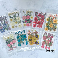 [พร้อมส่ง] SETรวมคละดอกไม้ทับแห้ง Sizeกลาง ดอกไม้ทับ ดอกไม้จริงทับแห้ง ดอกไม้ทับแห้ง Preserved Flowers?