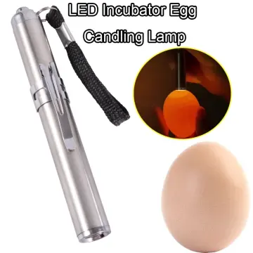 Incubator Eggtester Egg Candling Lamp LED Super Cold Equipment