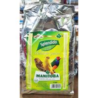 อาหารไข่ Manitoba Pate giallo soft Splendido 3 kg