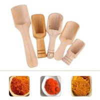 5 Pcs Household Salt Shovels Small Salt Spoon Teaspoon Coffee Powder Spoon Wooden Handle Scoop Teaspoon Ground Coffee Scoops