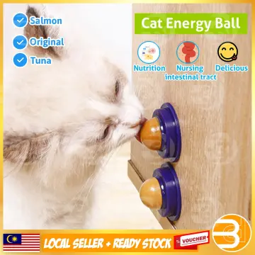 READY STOCK Pet Cat Fishing Rod Cat Teaser Toy Mainan Kucing Joran Ikan