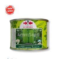 แฟงไส้ตันปิ่นทอง 50 g.  ผลยาว 25-28 ซม.