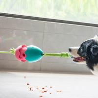 Dog Chew Rope Toys Cotton Dog Toothbrush Chew Toys Cotton Dog Toothbrush And Solid Rope Leashing Food Ball Tug Ball Toy