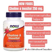 พร้อมส่ง!! Now Foods Choline &amp; Inositol, 100 Veg Capsules