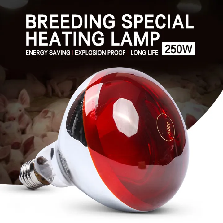 220V 250W Red Heat Lamp Poultry Light Pets Animal Insulation Bulb