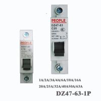 220 V-400V 1P 1A/2A/3A/4A/6A/10A/16A/20A/25A/32A/40A/50A/63A dz47-63 การอนุมัติ CE สวิตช์อากาศในครัวเรือน Circuit Breaker-WIOJ SHOP