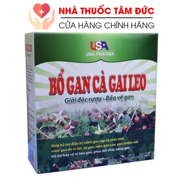 Cà gai leo có thể hạn chế tổn thương tế bào gan do rượu bia hay không?
