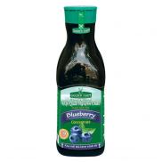 Sinh tố Golden Farm việt quất Blueberry Chai 1000ml syrup pha chế, trà,