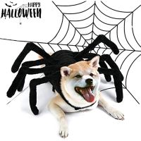 Dog Halloween Costume Dog Cat Halloween Spider Costume Pet clothes Puppy Cat Costume Clothing Shoes Accessories Costumes