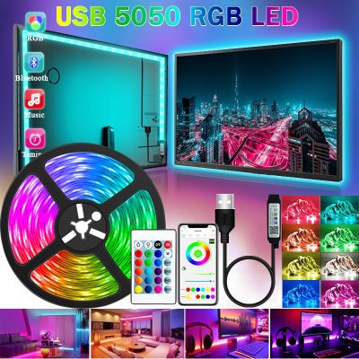 【LZ】 Led Strip Lights USB Bluetooth LED Strip RGB 5050 Luces Led Lights for Room Decor Led Lamp Tape Diode Flexible Ribbon Lighting
