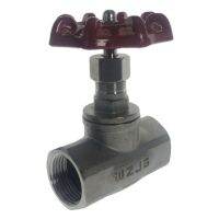 [JU HOT JWRKKLLKXZG 639] WZJG BSPT DN15-DN50หญิง Quot; SS304สแตนเลสโกลบวาล์ว CF8M งานหนักสูงสุด200Psi 350องศา