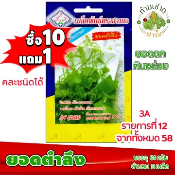 เมล็ดผักตำลึง ราคาถูก ซื้อออนไลน์ที่ - ก.ค. 2023 | Lazada.co.th เมล็ดผักตำลึง ราคาถูก ซื้อออนไลน์ที่ - ก.ค. 2023 | Lazada.Co.Th