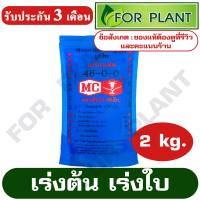 ปุ๋ยยูเรีย สูตร 46-0-0 ตราหัววัว-คันไถ บรรจุถุงล่ะ 2 กิโลกรัม บำรุง ราก ปุ๋ยเร่งต้น ใบ ดอก ผล ใส่ผัก ผลไม้ ไม้ดอกไม้ประดับ