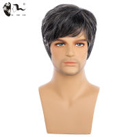 XISHIXIU HAIR Short Men Wig Straight Synthetic Wig for Male Hair Fleeciness Realistic Ombre Grey Wigs