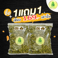 เมล็ดฟักทอง 250 กรัม พร้อมทาน คุณภาพเกรด AAA / Roasted Pumpkin Seeds 250g ถั่วธัญพืชรวม ขนมกินเล่นถูกๆ