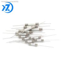 ▫ 10Pcs 5x20mm Fast Break Ceramic Fuse Slow Blow Tube Fuse With a pin 5X20MM 250V 0.5A 1A 2A 3A 4A 5A 6A 7A 8A 10A 12A 15A 20A 25A