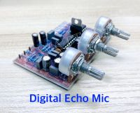 วงจร ดิจิตอล ไมค์ เอคโคว Digital Mic Echo จำนวน1แผ่น