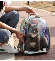 Outdoor Portable Large Space Cat Bag Transparent Small Dog Panoramic Breathable Backpack Cat Cage Cat Backpack Carrier