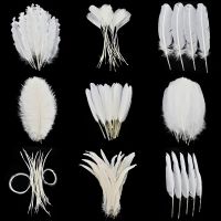 20Pcs Pheasant Feathers for Crafts Feather Turkey Plumes Catcher Accessories Wedding