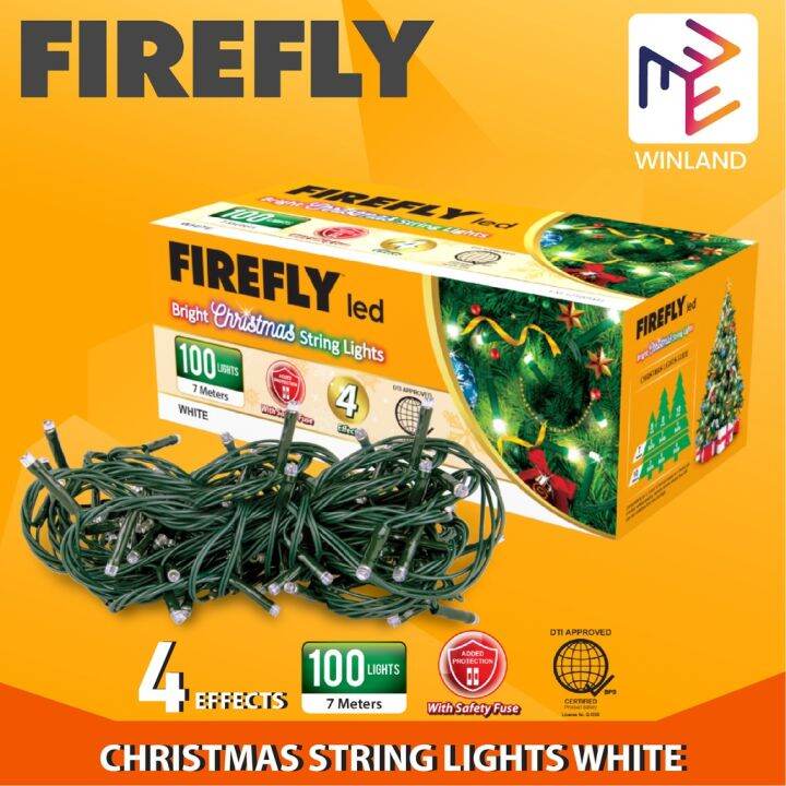 100 Led Christmas Lights 