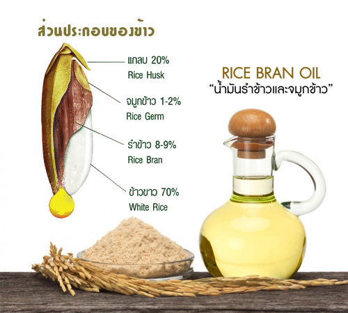 ส่งฟรี-โอรีซา-อี-กิฟฟารีน-น้ำมันรำข้าว-น้ำมันจมูกข้าวแคปซูล-oryza-e-giffarine-ผสมน้ำมันจมูกข้าวสาลี-และวิตามินอี-กิฟฟารีน