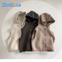 Fashion round Neck Baby Vest Spring and Autumn Outer Wear Korean Style Baby Hooded Waistcoat Vest Waistcoat