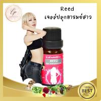 Reed เจล ยานวดสำหรับผู้หญิง reed body gel ใช้ทา เพิ่มสุข กระตุ้นอารมณ์  ปลุกเซ็คสาว เพิ่มเสียว ✔ของแท้ ส่งฟรี ✔ไม่ระบุชื่อสินค้าหน้ากล่อ