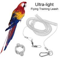 Flying Training Leash Ultra-light Rope Anti-bite Leg Harness Outdoor Macaw Cockatiel Starling