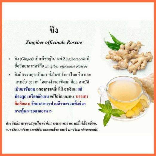 giffarine-ginger-กิฟฟารีน-เครื่องดื่มผงสำเร็จรูป-น้ำขิง-ผสมแอล-คาร์นิทีน-ช่วยขับลม-แก้ท้องอืด-ท้องเฟ้อ