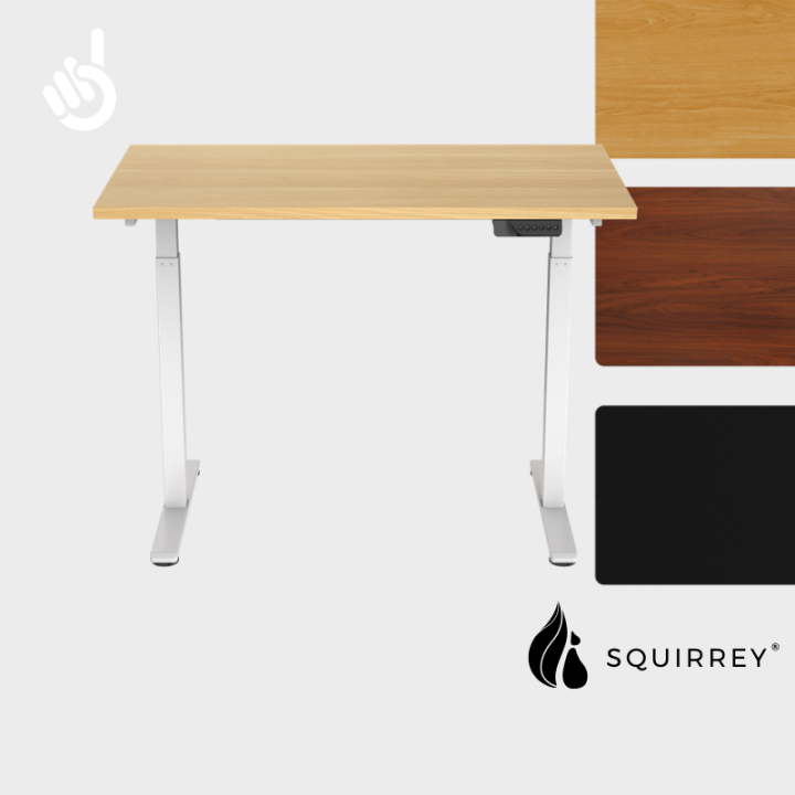 Squirrey Electric Height Adjustable Office Desk Basic Series [Custom