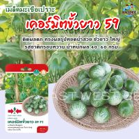 เมล็ดมะเขือเปราะ เคอร์มิตขั้วยาว59 ตราศรแดง ปริมาณ150เมล็ด เมล็ดพันธุ์มะเขือเปราะ  เมล็ดพันธุ์ผัก เมล็ดมะเขือ เมล็ดพันธุ์มะเขือ ศรแดง