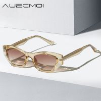 【lz】✚◑♞  Óculos de sol vintage Cat Eye para homens e mulheres tons ópticos anti luz azul designer de luxo moldura TR90