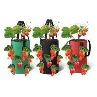 24pcs Strawberry Planter Bags For Growing Potatoes Outdoor Vertical Garden Hanging Open Vegetable Planting Grow Bag Flower Pot