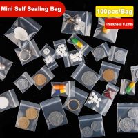 【CW】✿☂✟  100pcs Plastic Ziplock Transparent Jewelry Packing Pouches Reusable Lock Sack Thickness 0.2mm