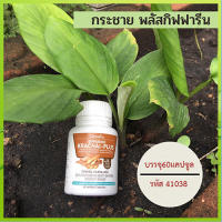 กระชายผง250มก.Giffarinกระชายพลัสมีประโยชน์ต่อร่างกาย/รหัส41038/จำนวน1กระปุก(60แคปซูล)??ควรไปตำด่วน??