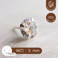 (S925) ต่างหูเพชรเงินแท้ CZ Diamond Sterling Silver Stud Earrings WC1 5mm