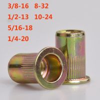 ❇⊙☃ 8-32 10-24 3/8-16 1/2-13 5/16-18 1/4-20 Zinc Plated Carbon Steel Knurled Nuts Flat Head Threaded Rivet Insert Nutsert Rivet Nut