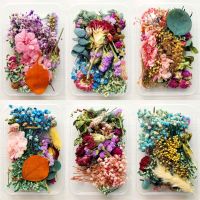 【cw】 1Dried flowers ForFestival Decoration Epoxy Resin Real DryMaking Photo Frame Souvenirs CraftAccessories ！