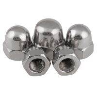 304 A2 Stainless Steel Metric Thread Hexagon Domed Cover Cap Hex Acorn Nut M3 M4 M5 M6 M8 M10 M12 M14 M16 M18 M20 M22 M24