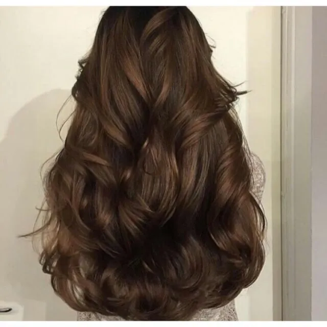 ❁✳ (0n Sale)  Bremod Hair Color-Dark Golden Brown | Lazada PH