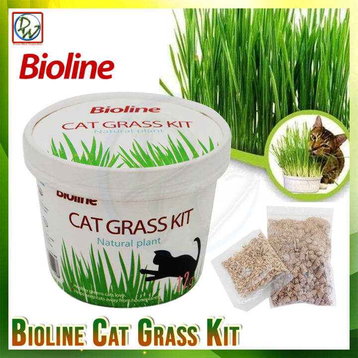 Bioline Cat Grass Kit Natural CAT GRASS Seeds 12g (No Specific) Lazada PH