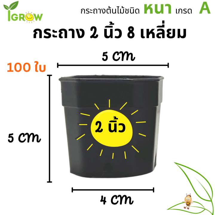 กระถาง-8-เหลี่ยม-ขนาด-2-นิ้ว-ชุด-100-ใบ-สีมินิมอล-อิฐ-ขาว-ดำ-สำหรับใส่แคนตัส-ต้นไม้จิ๋ว-มินิมอล-สวย-แท้-แน่นอน