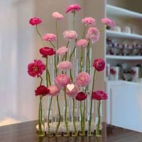 [COD] Vase creative test ins glass net red decoration flowers hydroponic flower device combination vase