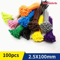 Xingo 100mm Self locking Nylon Cable Zip Ties 100pcs Plastic Colored Cable Zip Tie 18 lbs UL Rohs Approved Loop Wrap BundleTies