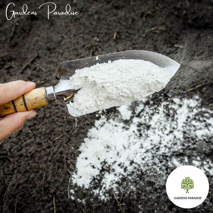 Garden Lime Powder By Gardens Paradise 5 Litres (Approx. 3kg) Lazada